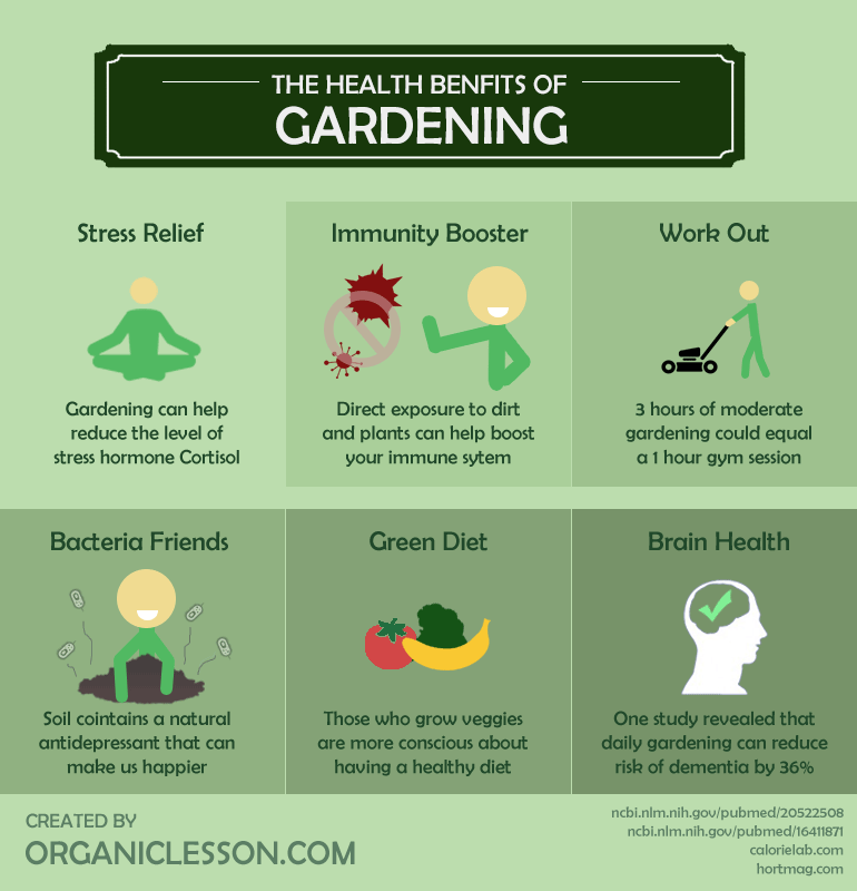 Gardening Makes Us Healthy ~ In More Ways Than One! – GardenABCs